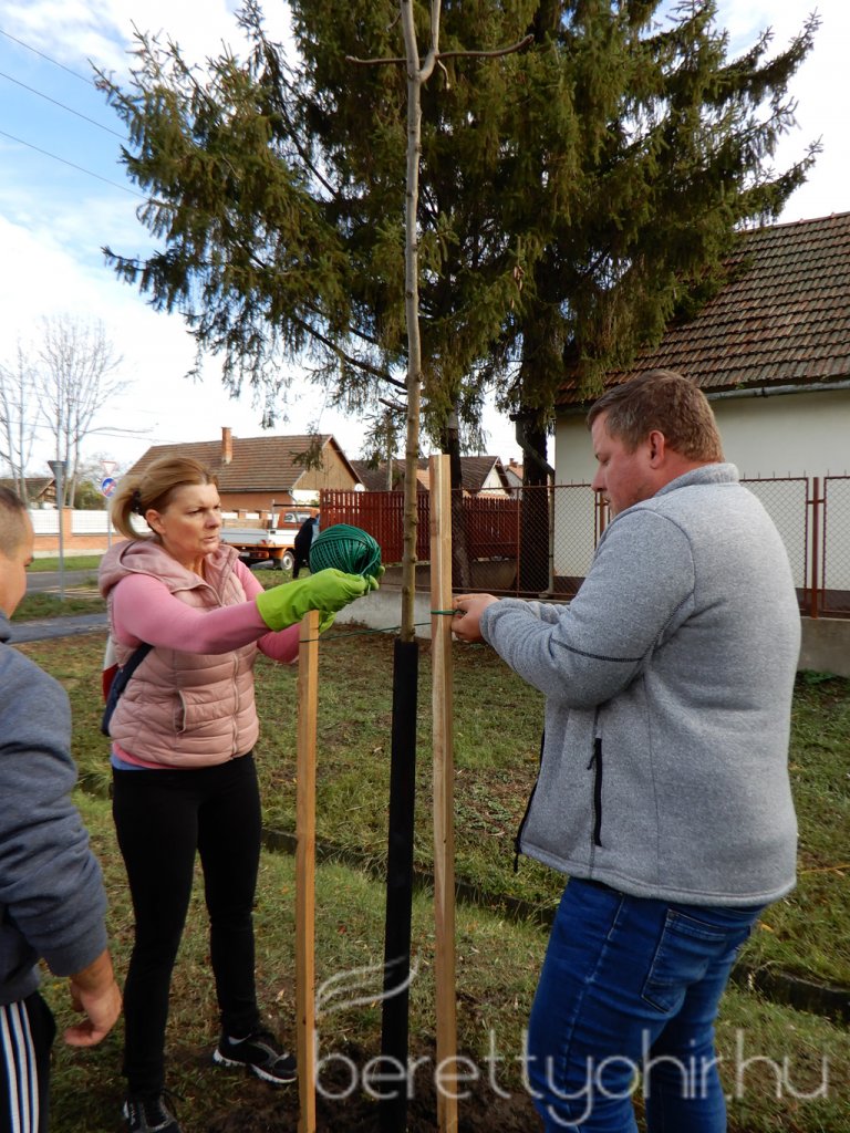 Közösségi faültetés Berettyóújfaluban 23